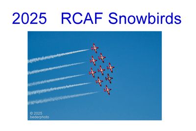2025_rcaf_snowbirds