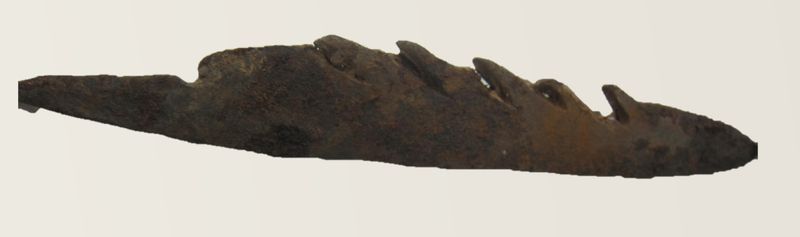 Object Figure 5 16_Sculpture of the electric fish as personification of ancestral sexuality.jpg