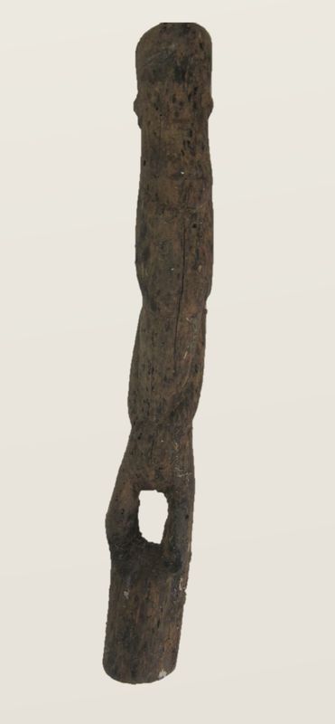 Object Figure 5 19_The Female Totemic Ancestral Figure of the House Community.tiff