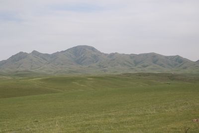 Landschap - Landscape