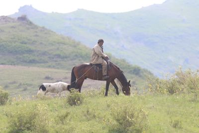 Cowboys of Kazachstan .