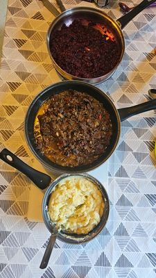 reindeer stew.