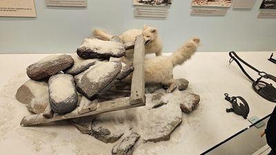 Poolmuseum in Tromsų Noorwegen