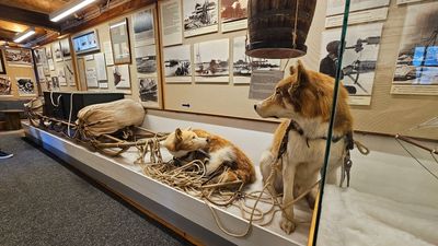 Poolmuseum in Tromsų Noorwegen