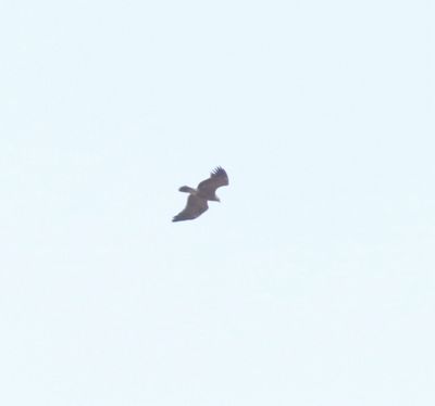 g13/27/1207627/3/175525836.f0fd1722.JPEG