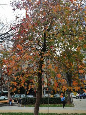 IMG_202301223.jpg