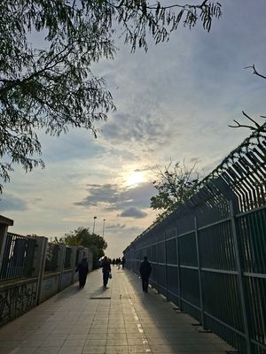 g13/27/1271627/3/172795708.57b2d243.JPEG