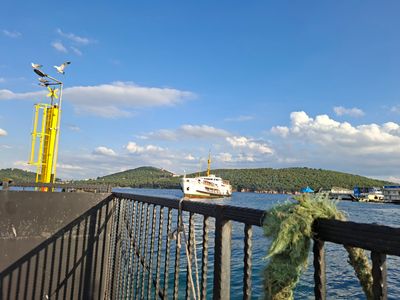 IMG20250919.JPG