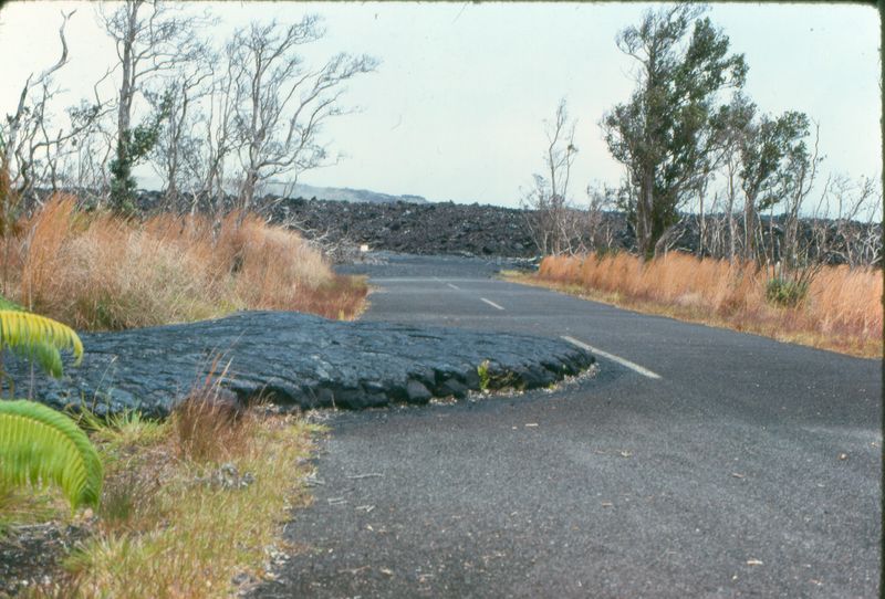 hawaii107_apr76.jpg