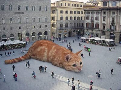 cats rule 1.jpg