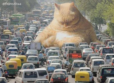 cats rule 12.jpg