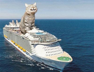 cats rule 16.jpg