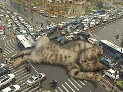 cats rule 20.jpg
