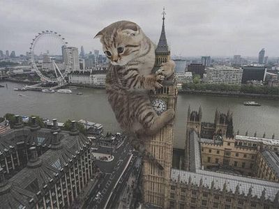 cats rule 3.jpg