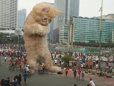 cats rule 8.jpg