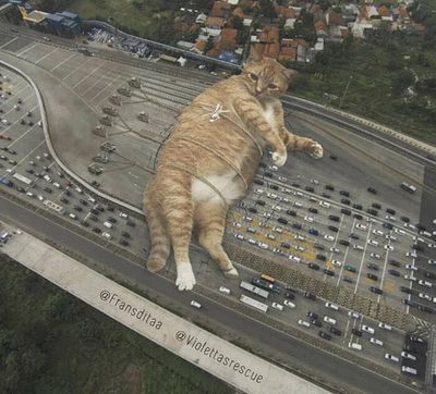 cats rule 9.jpg