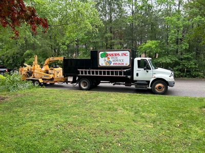 Bishops tree service.jpg