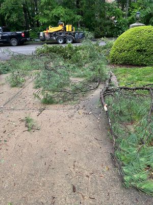 driveway.jpg