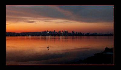Mtl at night 2023