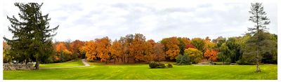 Panoramic 2023