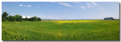 panoramic_393.jpg