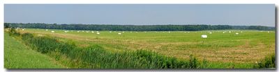 panoramic_396.jpg