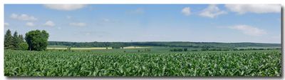 panoramic
