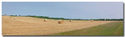 panoramic