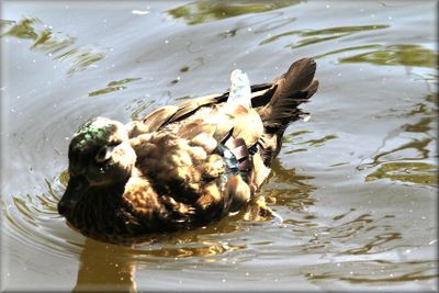 nature_2025
