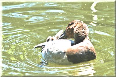 nature_2025