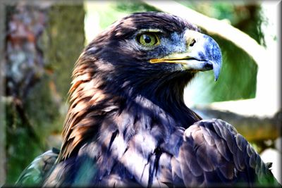 nature_2025