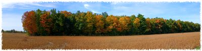 panoramic_401.jpg