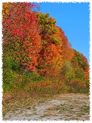 autumn
