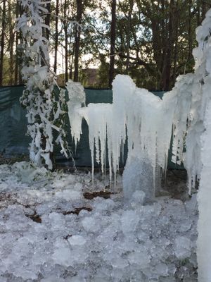 The Mississippi Gulf Coast Ice Man