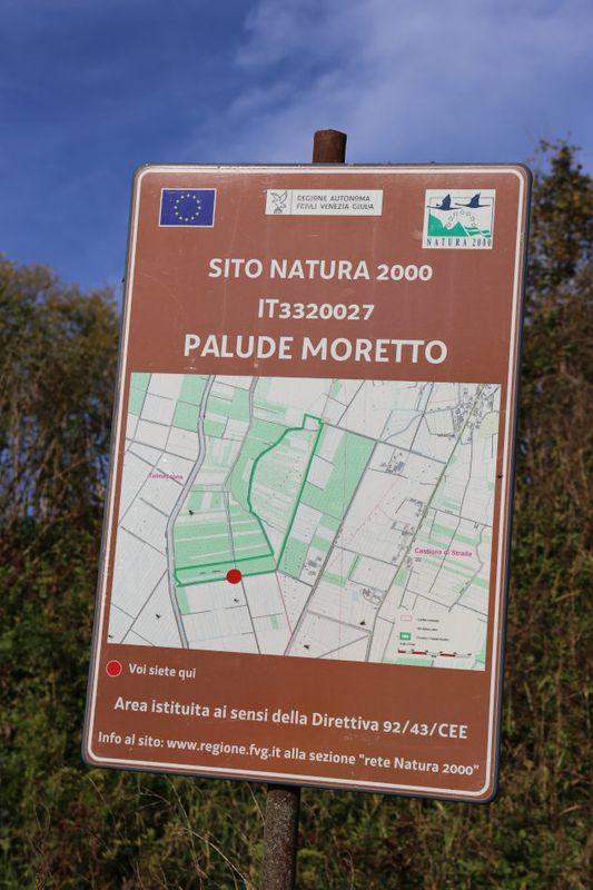 Palude moretto