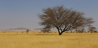 IMG_9032.JPG