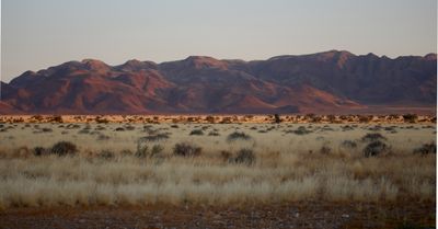 IMG_9084.JPG