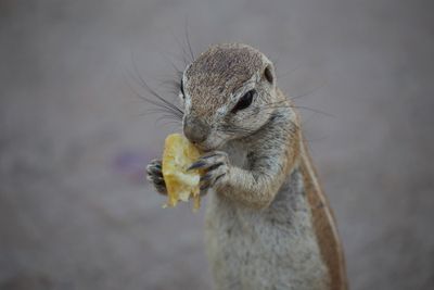 IMG_9348.JPG