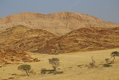 IMG_9474.JPG
