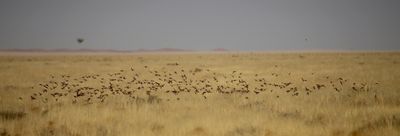 IMG_9499.JPG