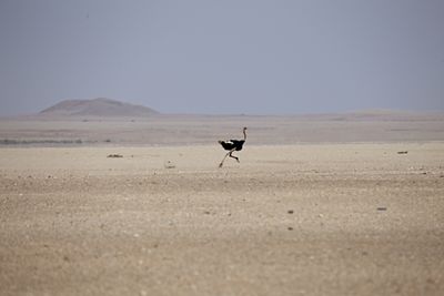 IMG_9620.JPG