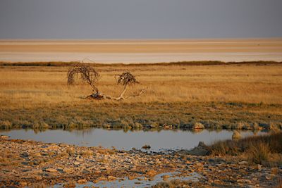 IMG_0038.JPG