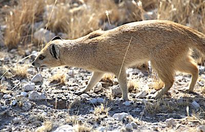 IMG_0438.JPG