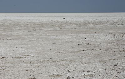 IMG_9998.JPG