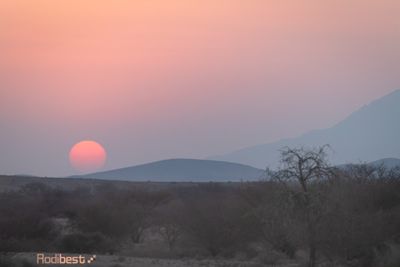 _5_37747.jpg