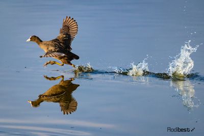 _M2_3841.jpg