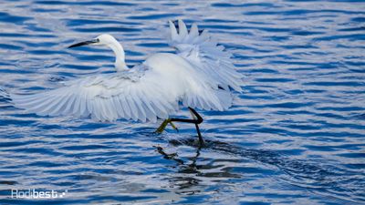 IMG_1806.jpg