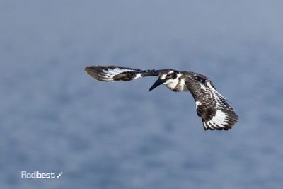 IMG_1853.jpg
