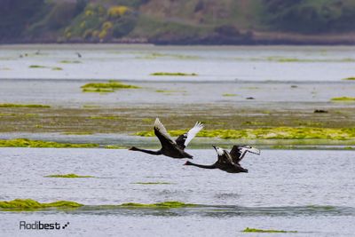 _J3A6777-Enhanced-NR.jpg