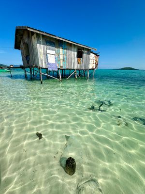 Stilt house 